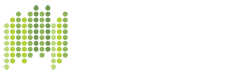 saga mobil